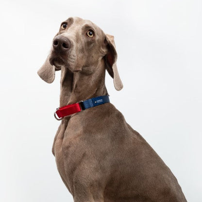 Rainbow Series Color-Blocking Cushioned Collar [Navy Blue & Red]
