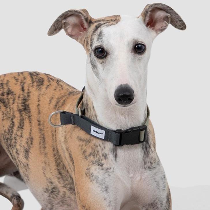 Valley Series Dog Half P-chain Training Collar [Olive Grey]