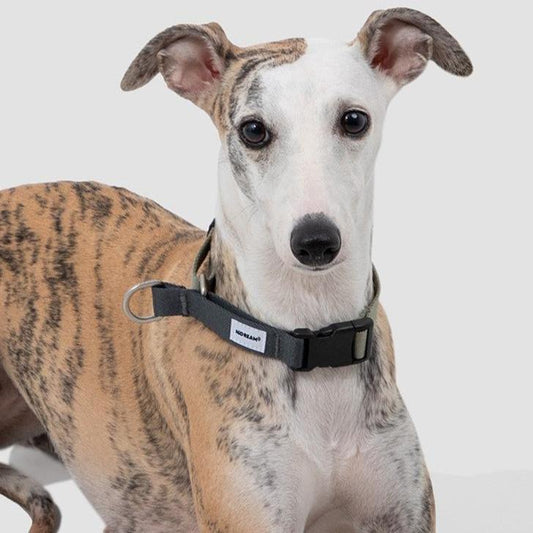 Valley Series Dog Half P-chain Training Collar [Olive Grey]