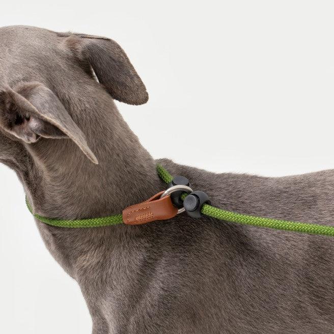 BOBO Series Leather Handle Integrated One Piece Dog Training P Rope [Moss Green]