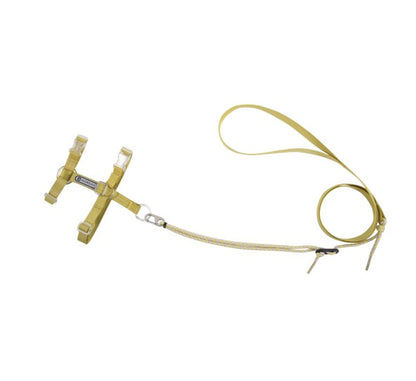 BOBO Series Freedom Exploration Cat H-Shape Harness and Leash Set [Pomelo Yellow]