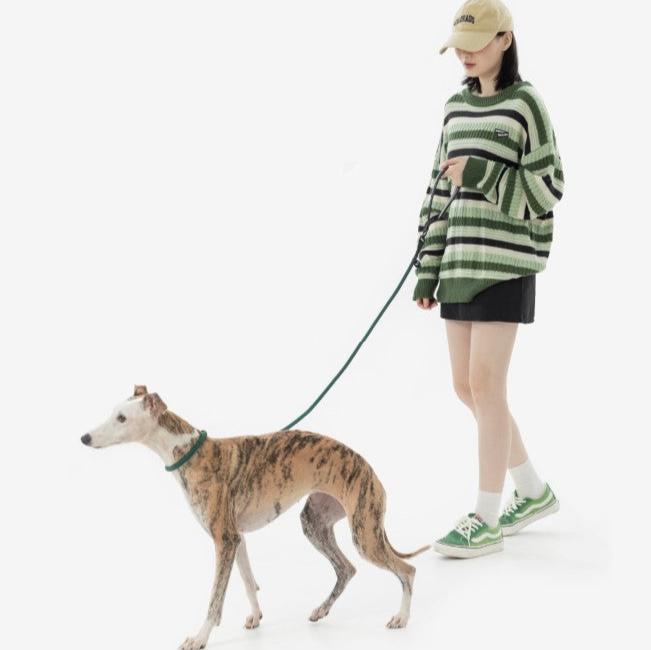 BOBO Series Leather Handle Integrated One Piece Dog Training P Rope [Turquoise Green]