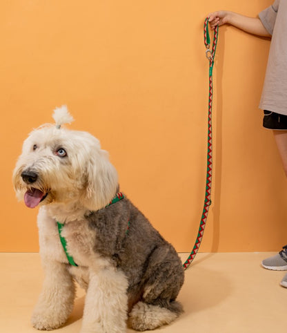 Rainbow Series Hands-Free Multi-Functional Dog Leash [Green]