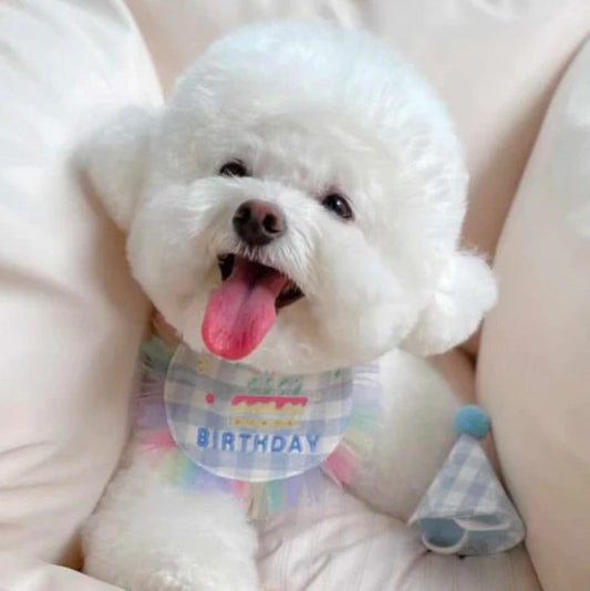 🩵Happy Birthday Bib & Hat Set [Blue]