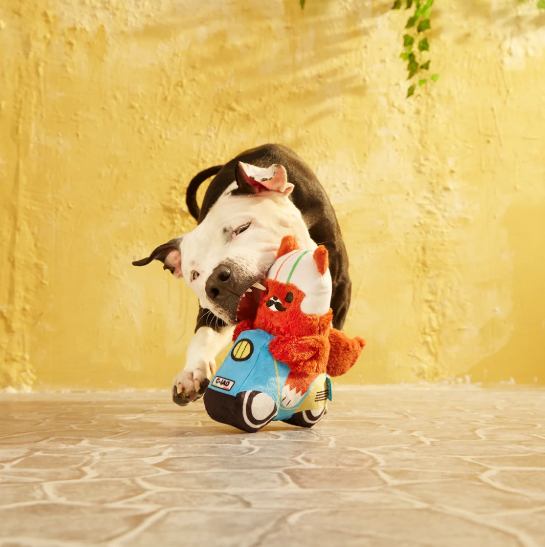 🐿️ Buona Squirrela Dog Toy