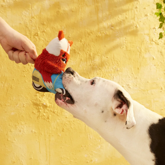🐿️ Buona Squirrela Dog Toy