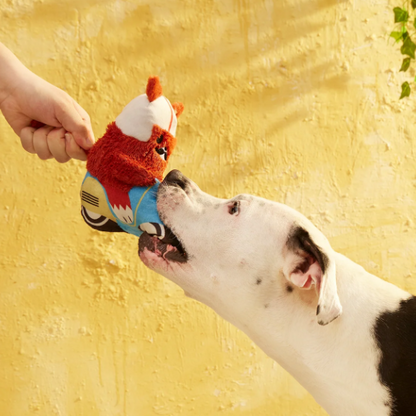 🐿️ Buona Squirrela Dog Toy