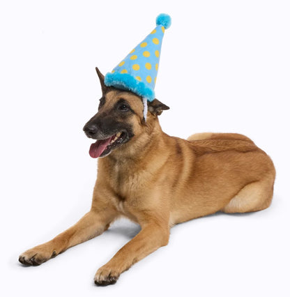 🎂 Barkday Party Hat Plush Dog Toy