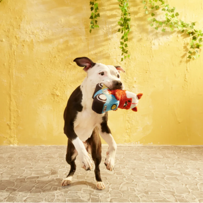 🐿️ Buona Squirrela Dog Toy