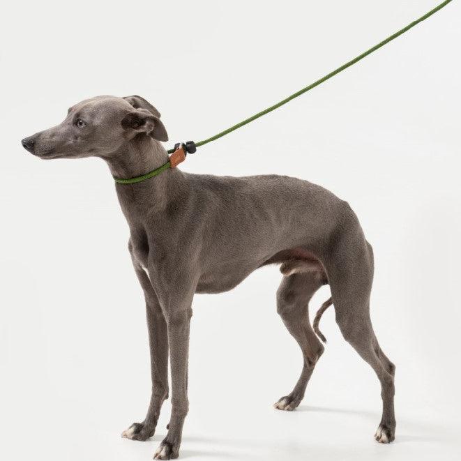 BOBO Series Leather Handle Integrated One Piece Dog Training P Rope [Moss Green]