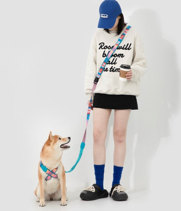 Colorful PRO Series X Harness [Mountain and River Impressions]