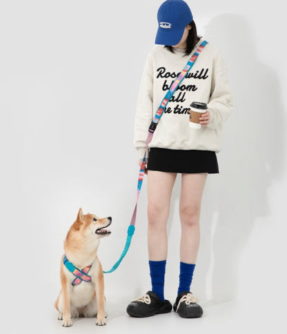 Colorful PRO Series X Harness [Mountain and River Impressions]