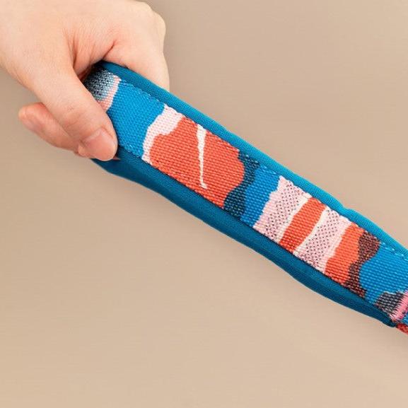 Colorful Pro Series Multipurpose Buffer Dog Leash [Bobby]