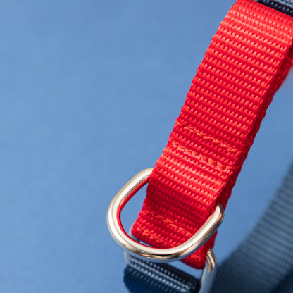 Rainbow Series Color-Blocking Cushioned Collar [Navy Blue & Red]
