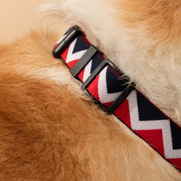 Rainbow Series Adjustable Dog Collar [Red]