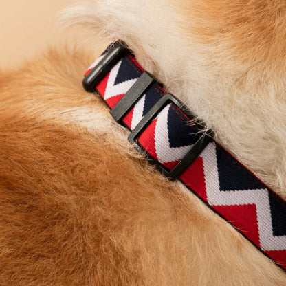 Rainbow Series Adjustable Dog Collar [Red]