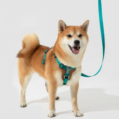 BOBO Series Leather I-shape Dog Harness [Aden Green]