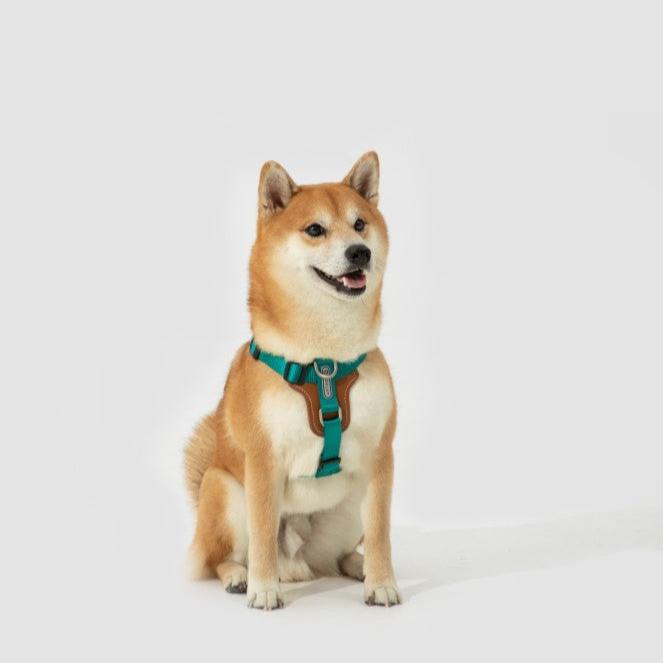 BOBO Series Leather I-shape Dog Harness [Aden Green]