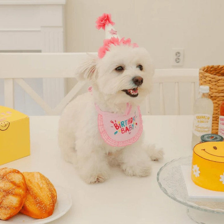 🩷Birthday Baby Bib for Pets [Pink]