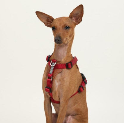 BOBO Series Leather I-shape Dog Harness [Cardamom Red]