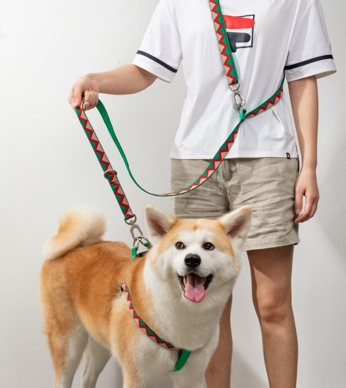 Rainbow Series Hands-Free Multi-Functional Dog Leash [Green]
