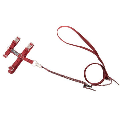 BOBO Series Freedom Exploration Cat H-Shape Harness and Leash Set [Cowpea Red]