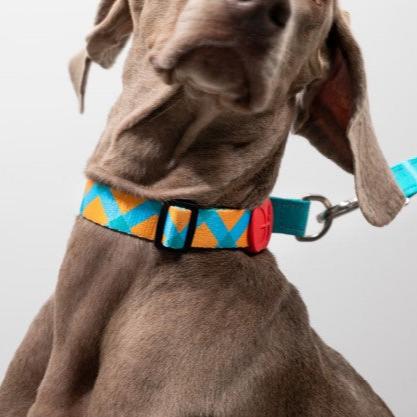 Colorful Pro Series Half P-chain Training Collar [Sunrise]