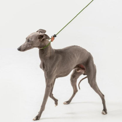 BOBO Series Leather Handle Integrated One Piece Dog Training P Rope [Moss Green]
