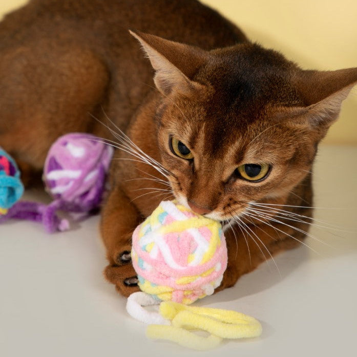 Fluffy Yarn Ball Cat Toys Pack [9 colors per pack]