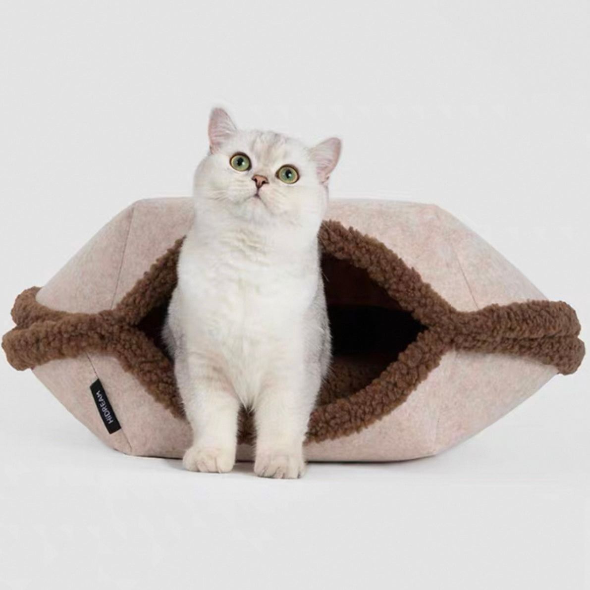 Multi-Functional Tart Cat Bed [Brown]