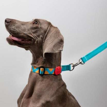 Colorful Pro Series Half P-chain Training Collar [Sunrise]