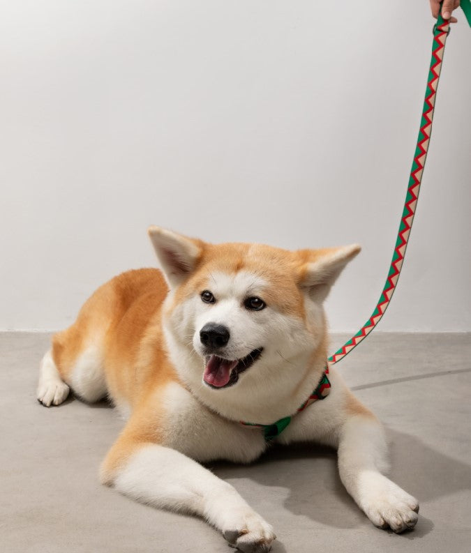 Rainbow Series Hands-Free Multi-Functional Dog Leash [Green]
