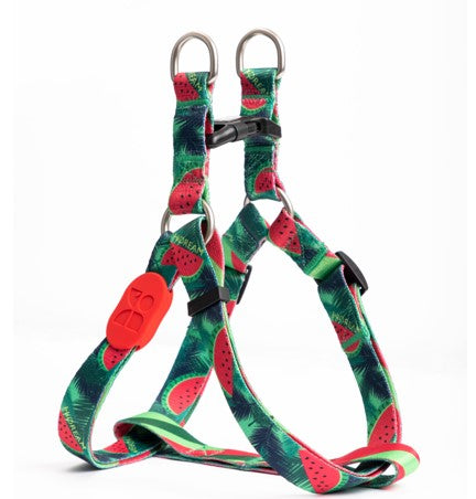 Colorful Series Y-Shaped Harness [Watermelon]