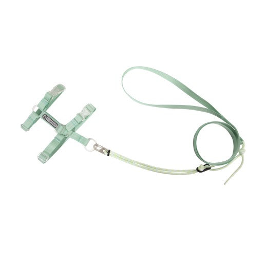 BOBO Series Freedom Exploration Cat H-Shape Harness and Leash Set [Moonlight Green]