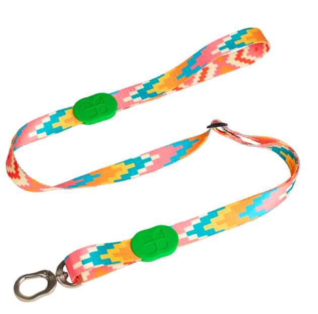Colorful Series Adjustable Dog Leash [Florida]