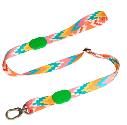 Colorful Series Adjustable Dog Leash [Florida]