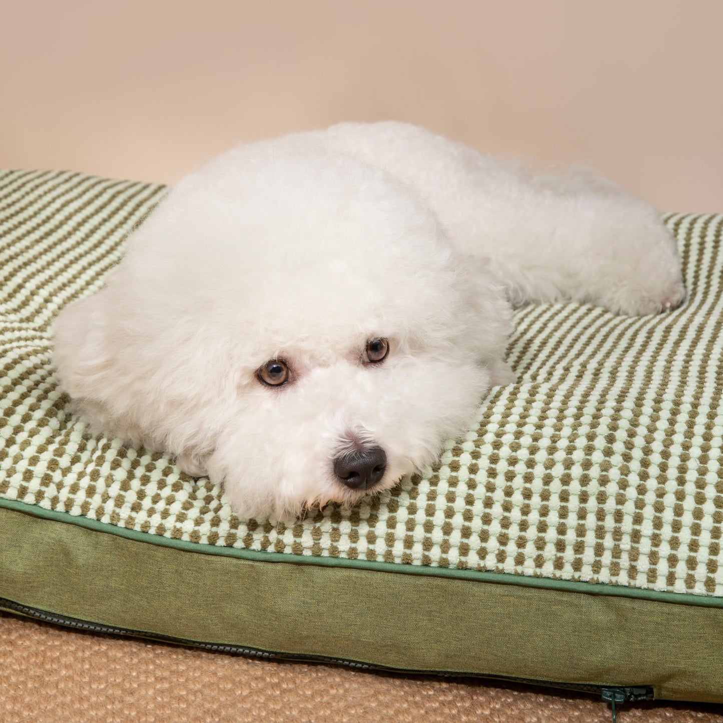 Premium Soft Pet Bed Mat [Greenfield Park]