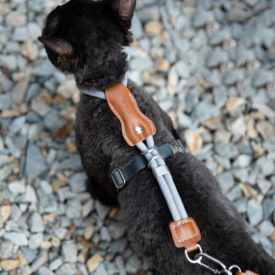 Leather Round Rope Cat Harness & Leash Set [Buckwheat Grey]