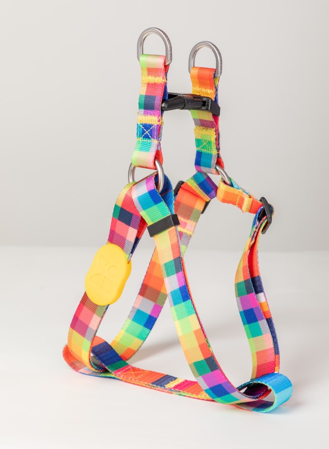 Colorful Series Y-Shaped Harness [Braggler]