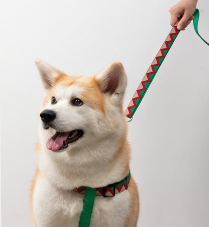 Rainbow Series Hands-Free Multi-Functional Dog Leash [Green]