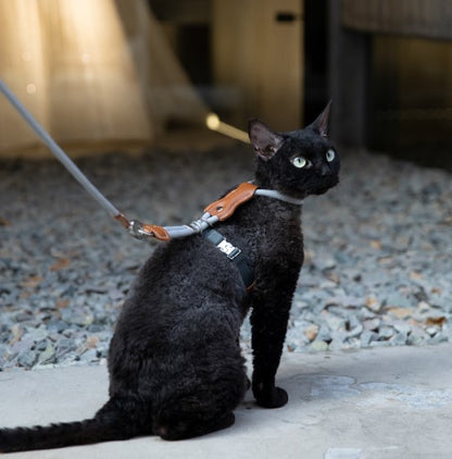 Leather Round Rope Cat Harness & Leash Set [Buckwheat Grey]