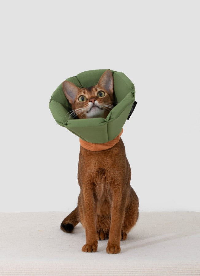 Soft Tapered Elizabethan Rings Dog & Cat Recovery Collar [Matcha Green]