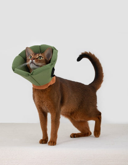 Soft Tapered Elizabethan Rings Dog & Cat Recovery Collar [Matcha Green]