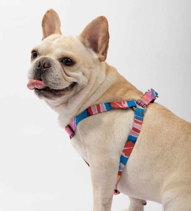 Colorful Series Y-Shaped Harness [Mountain and River Impressions]