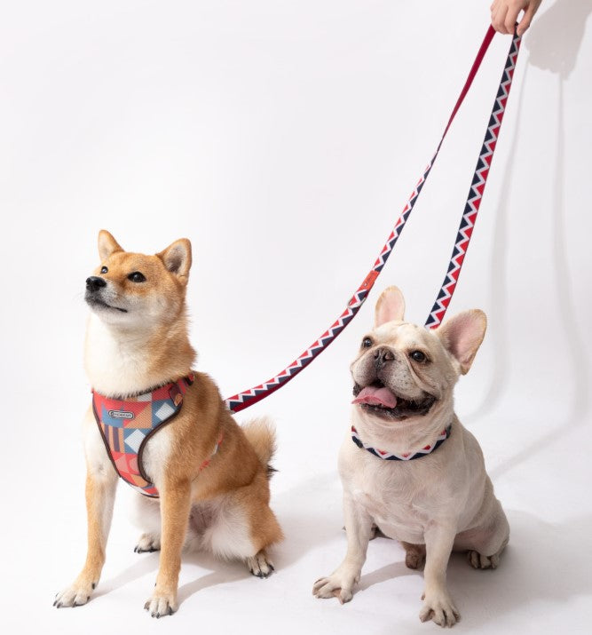 Rainbow Series Hands-Free Multi-Functional Dog Leash [Red]