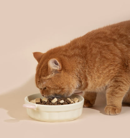 Little Ears Ceramic Pet Bowl [Berry Pink]