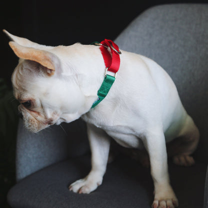 Rainbow Series Color-Blocking Cushioned Collar [Green & Red]