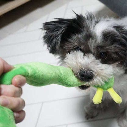 🍎Apple Worm Nosework Tug Toy