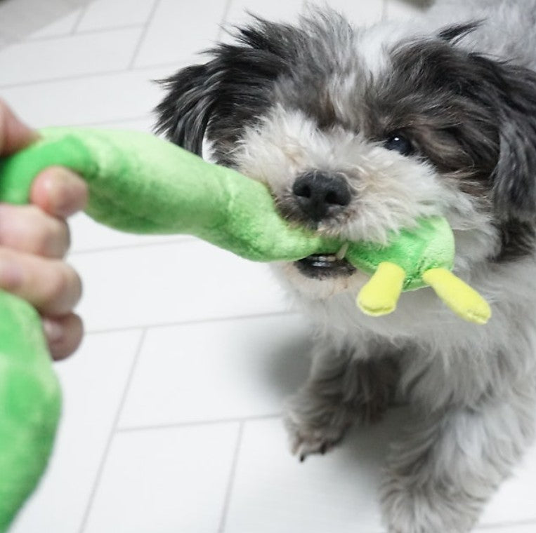 🍎Apple Worm Nosework Tug Toy