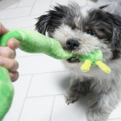 🍎Apple Worm Nosework Tug Toy